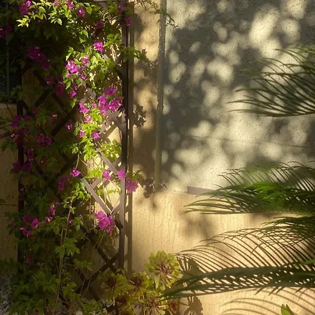 Le Cap Taillat Le Lavandou