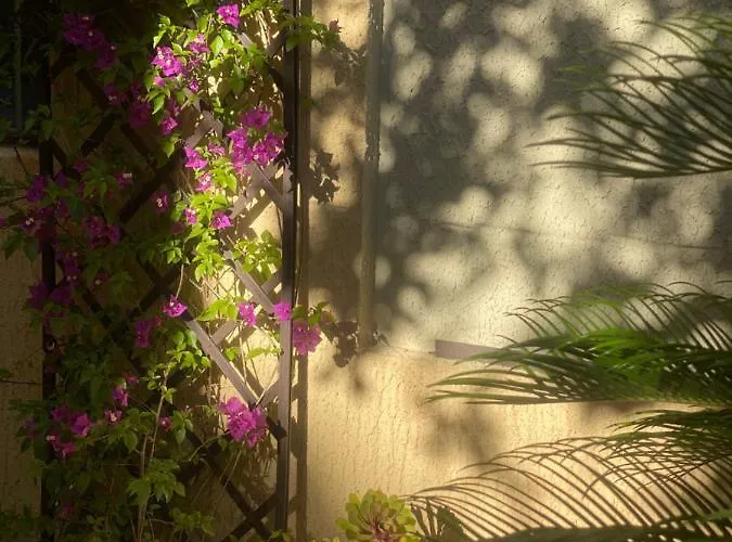 Le Cap Taillât Le Lavandou