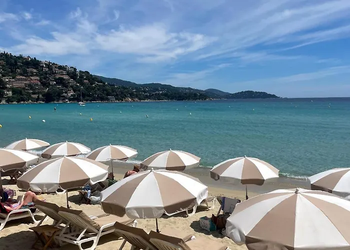 Appartement Le Cap Taillât Le Lavandou