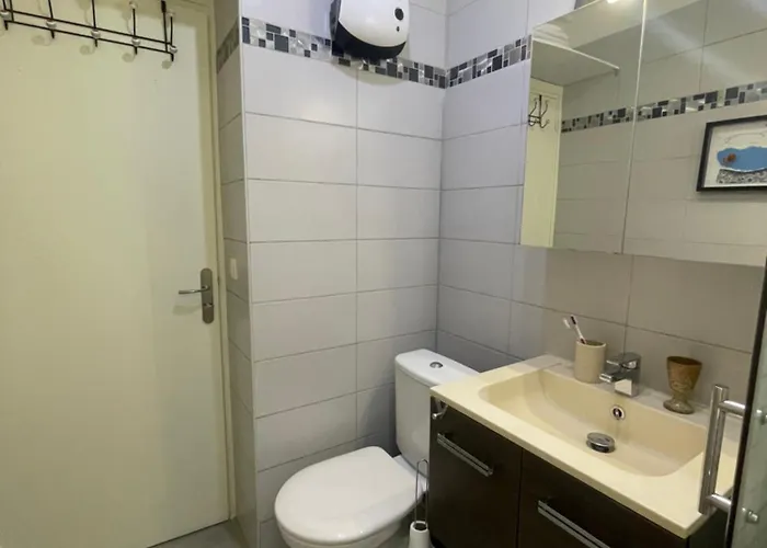 Le Cap Taillât Appartement Le Lavandou